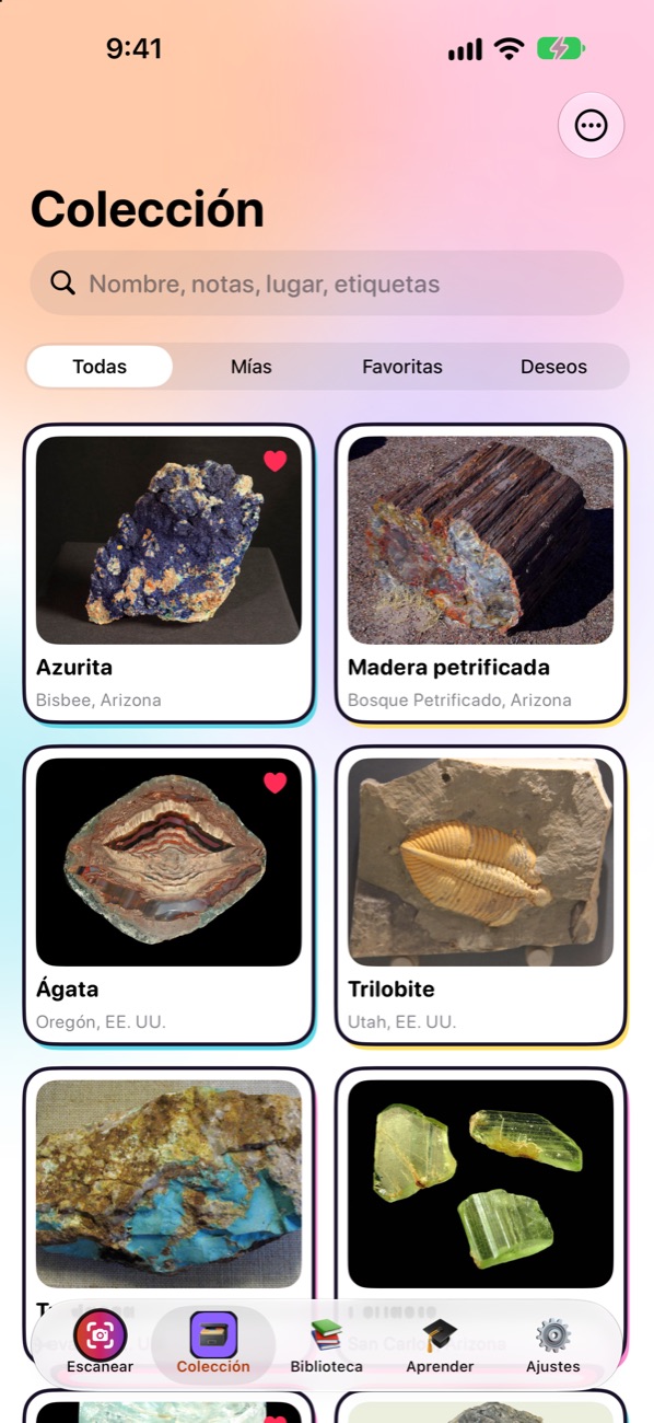 Tu colección de hallazgos con fotos, nombres y lugares