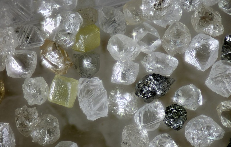 Diamante: foto de un ejemplar