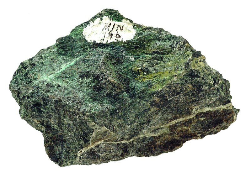Serpentina: foto de un ejemplar
